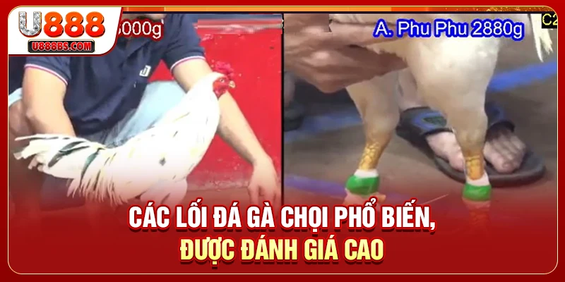Các lối đá gà chọi phổ biến, được đánh giá cao