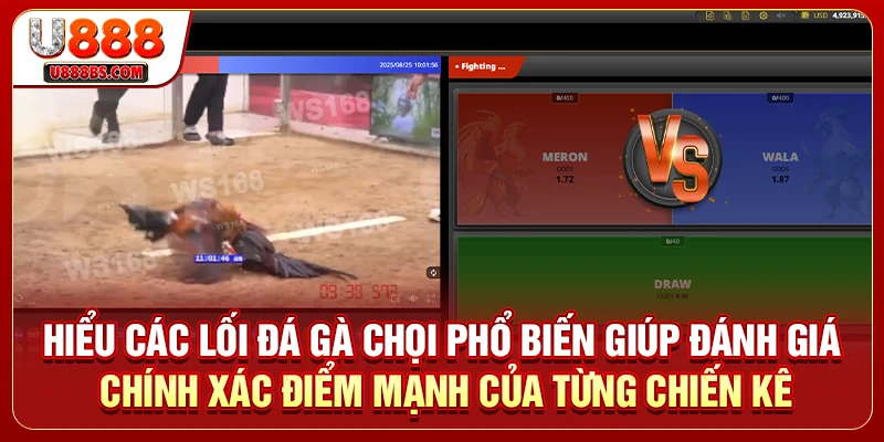 Hiểu các lối đá gà chọi phổ biến giúp đánh giá chính xác điểm mạnh của từng chiến kê