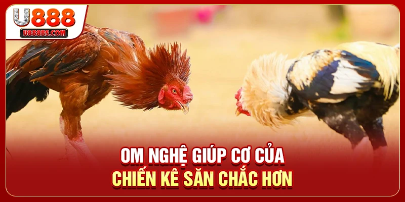 Om nghệ giúp cơ của chiến kê săn chắc hơn