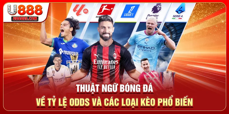 Thuật ngữ bóng đá về tỷ lệ Odds và các loại kèo phổ biến